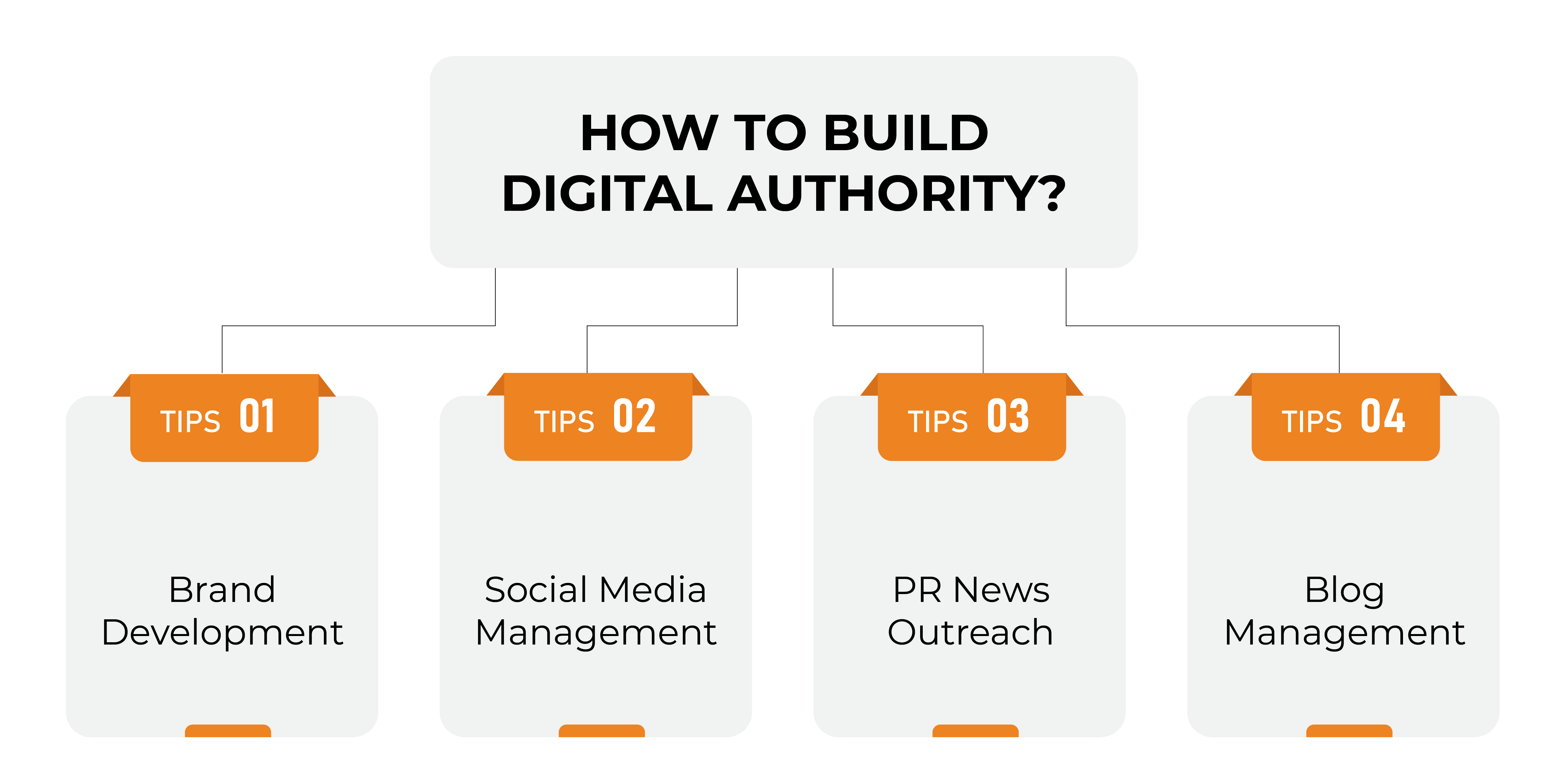 Build digital authority